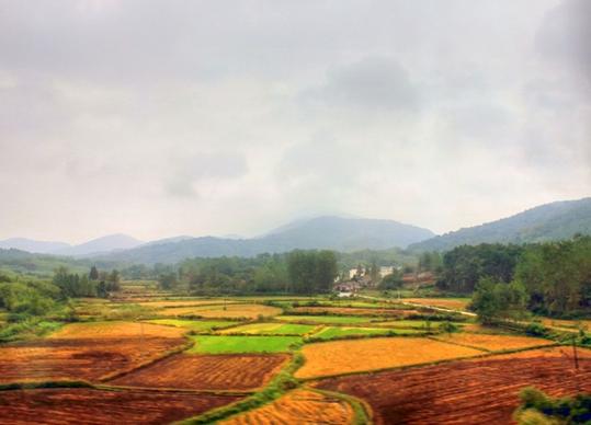 farms in anhui china