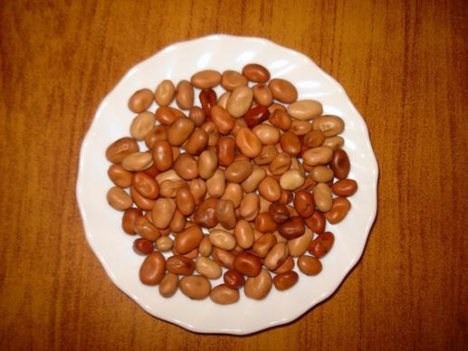 fava beans food plate