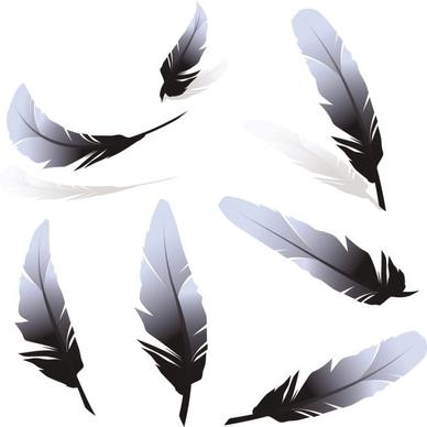 feather 01 vector