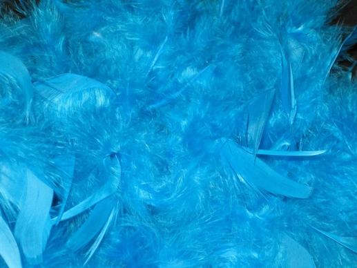 feather boa boa blue