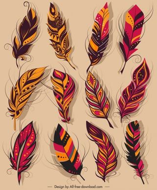 feather icons colorful classical softy sketch