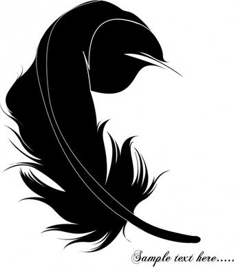 feather background dark black white handdrawn