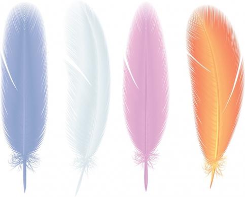 feathers icons modern colored flat sketch
