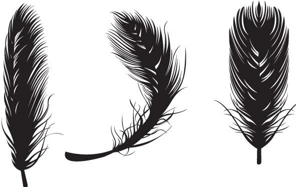 Feather Vectors