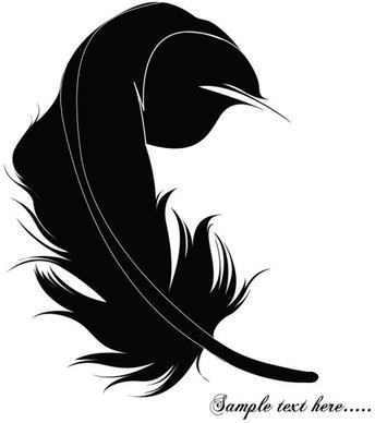 feathers 03 vector