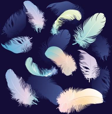 feathers 04 vector