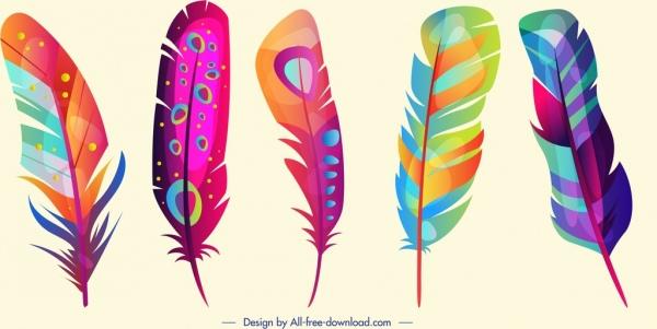 feathers icons colorful vertical design