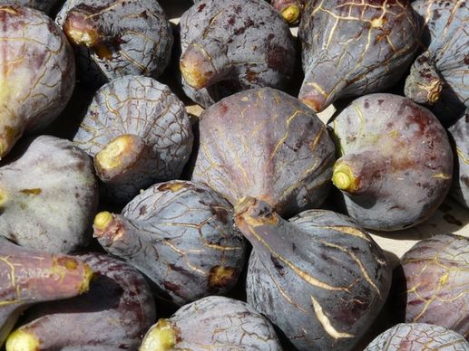 figs fruit market