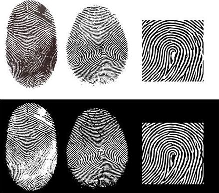 fingerprint vector 2