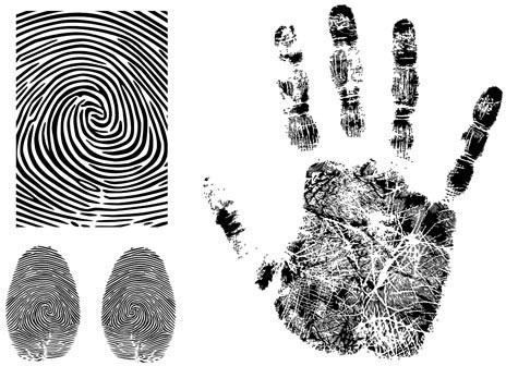 fingerprint vector 3