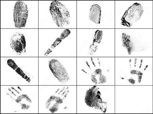 fingerprints brush
