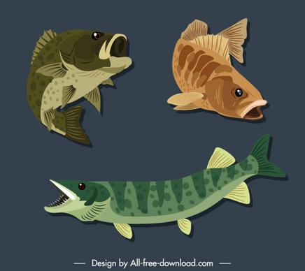 fish species icons motion sketch colored classic handdrawn