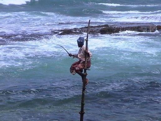 fishing fisherman sri lanka