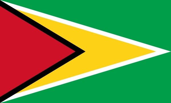 Flag Of Guyana clip art