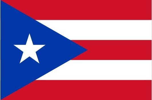 Flag Of Puerto Rico clip art
