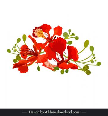 flamboyant  flora design elements flat classic handdrawn