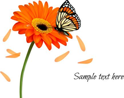 floral butterfly with flower vector