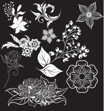 floral elements vector