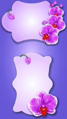 flower and labels vector