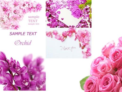 flower card template definition picture nonoriginal works