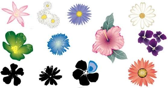 flower icons collection various colored types