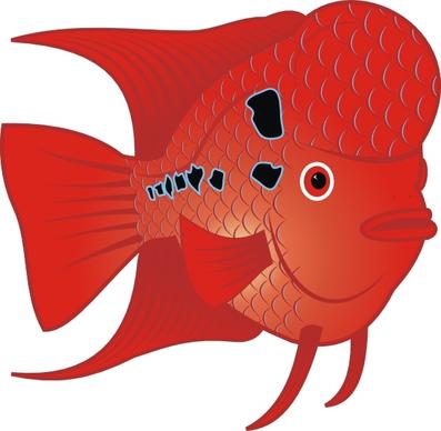 Flowerhorn Fish clip art