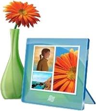 Flowerpot and picture frame