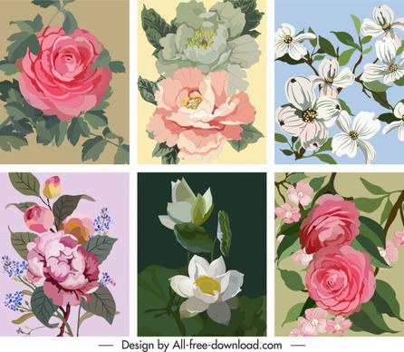 flowers background templates colorful classical design bloosom sketch