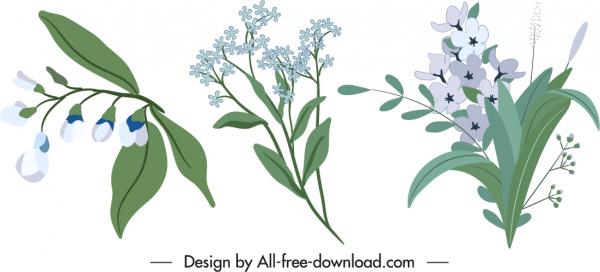 flowers icons elegant classic design colored handdrawn sketch