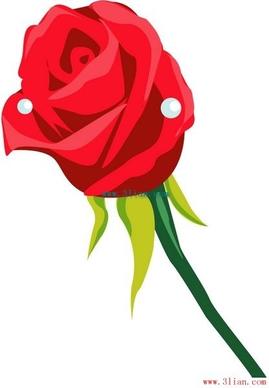 flowers red roses vector