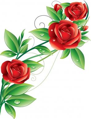 blooming roses background colorful modern 3d design