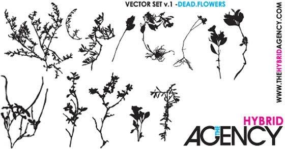 Flowers vector