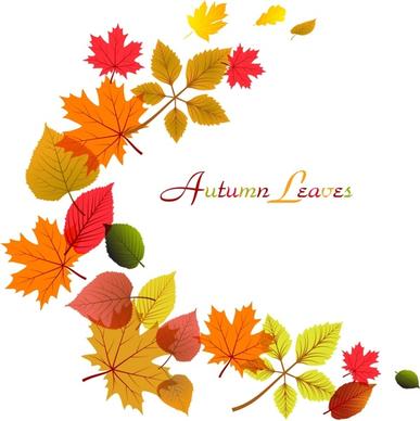 Flowing Autumn Leaves Frame