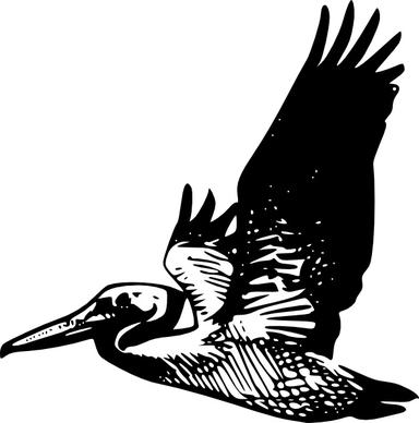 Flying Pelican clip art