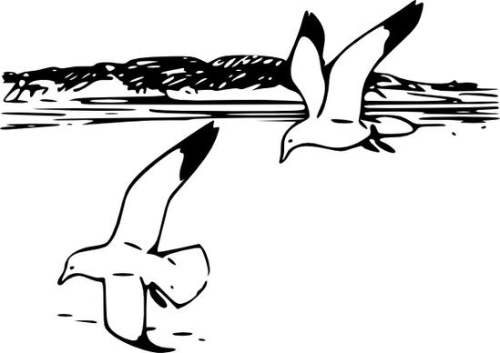 Flying Sea Gulls clip art