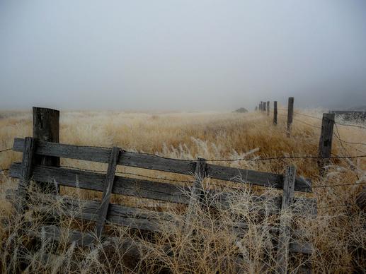 fog fence field