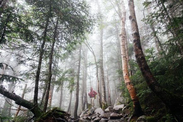 fog forest hike hiking hood mist person rock rural