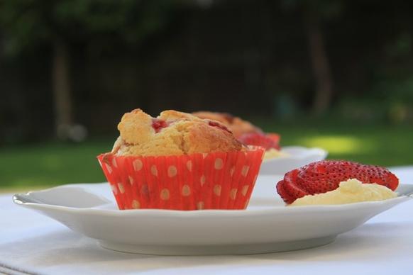 food muffins cup cake