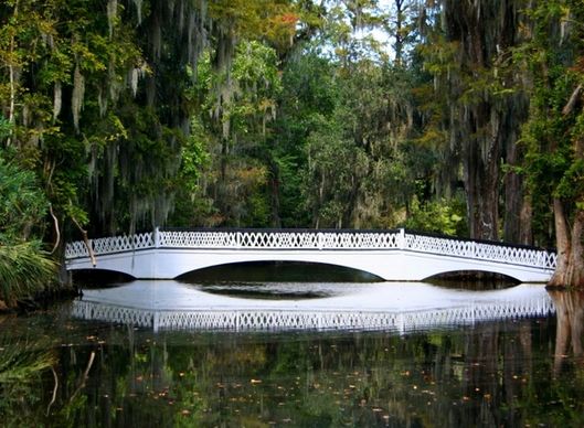 footbridge white bridge swamp