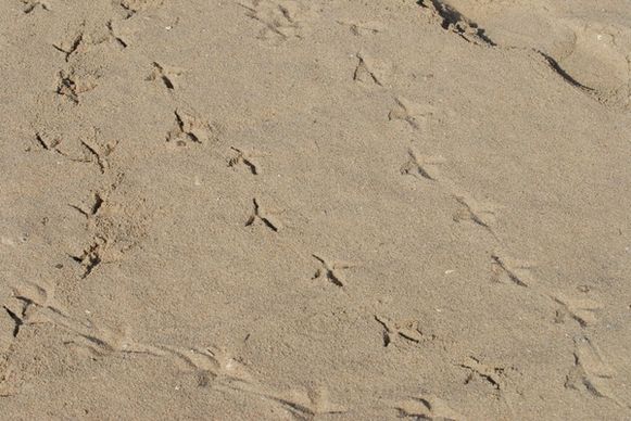 footmark on the sand