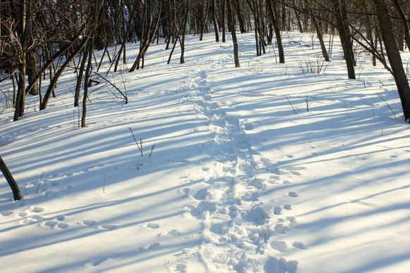 footprints in the snow at glacial lakes state park minnesota