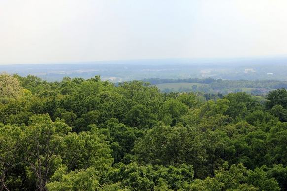 forest and fields beyond at lapham peak state park wisconsin