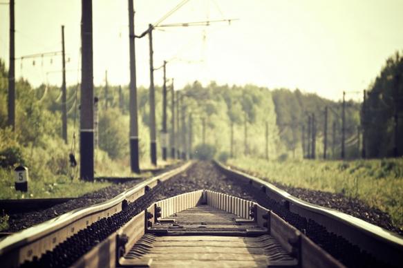 forest grass line rural track train transport