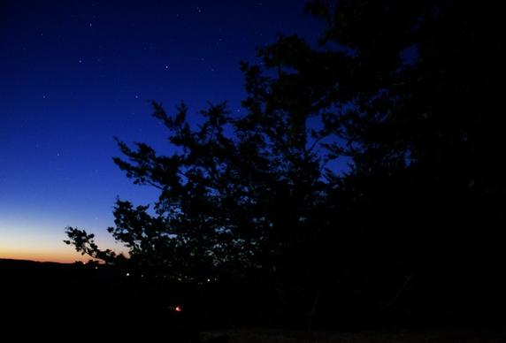 forest sky and stars at wildcat mountain state park wisconsin