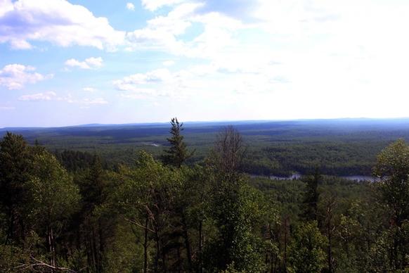 forest view at superior national forest minnesota