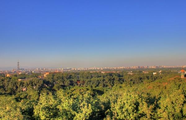 forest with skyline in beijing china