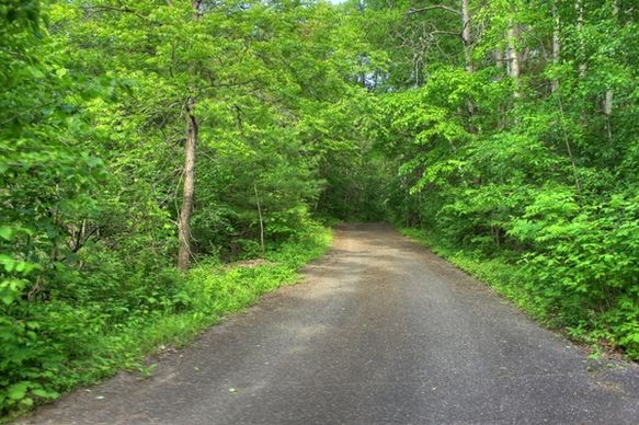 forested road at kinnickinnic state park wisconsin
