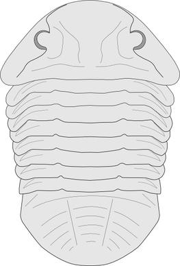 Fossil Of The Asaphus Species clip art