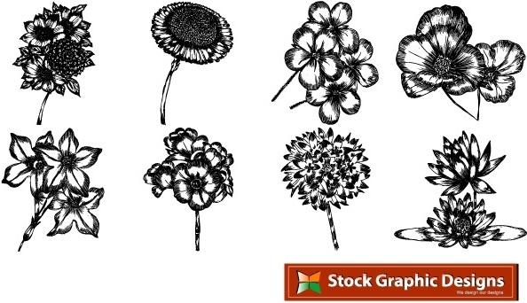 Free beautiful vector flowers pack. In pack 15 flower designs in eps format