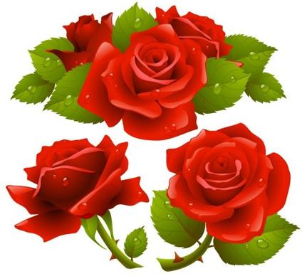 free rose flower vector